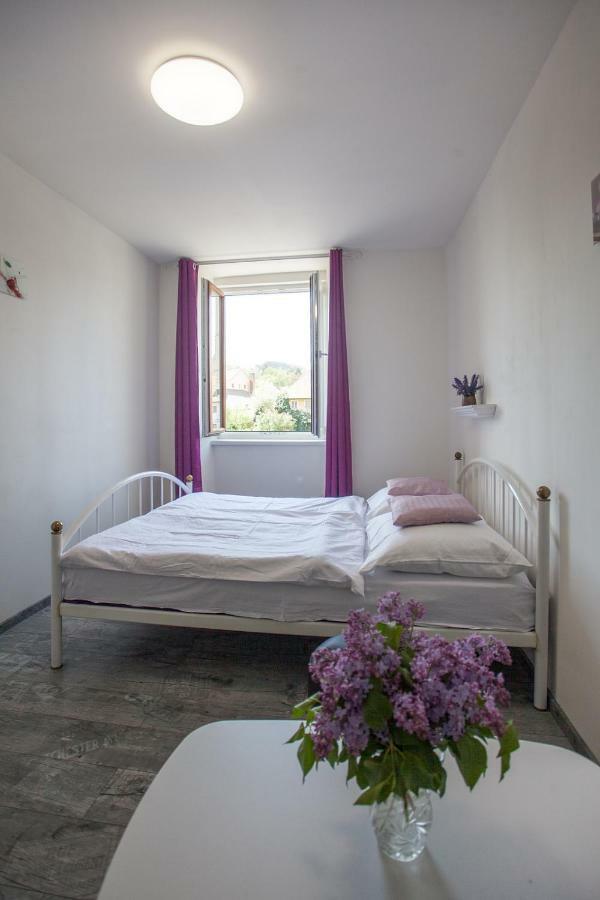 Ubytovani Rozmberk Nad Vltavou 18 エクステリア 写真